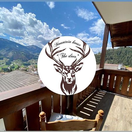 Апартаменты Mountain House The Deer Тезеро Экстерьер фото