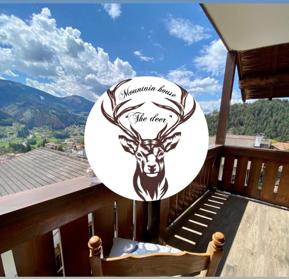 Апартаменты Mountain House The Deer Тезеро Экстерьер фото